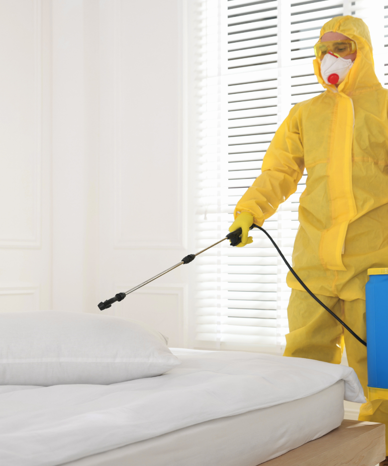 Professional Pest Control Team in Netherby